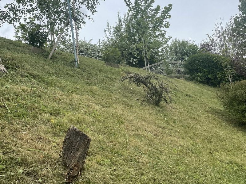 Garden cleared and ready to use