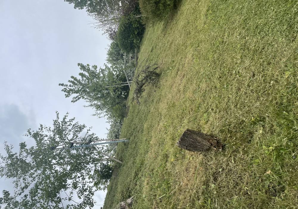 After: garden cleared and ready