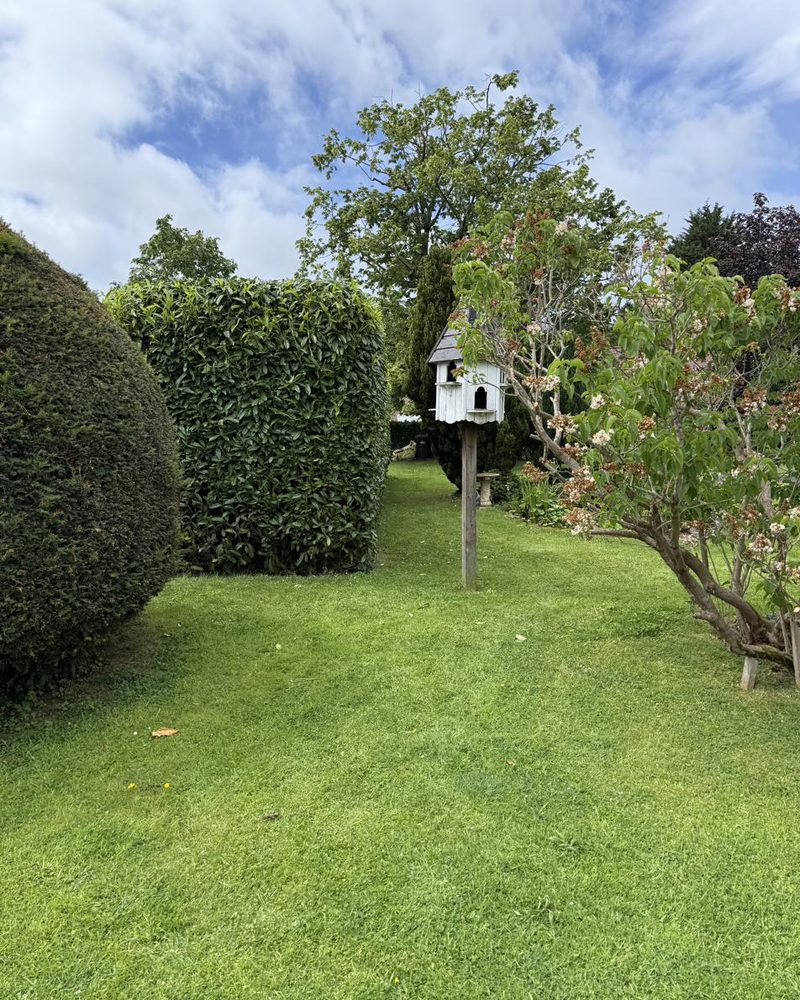 Established Yorkshire cottage garden