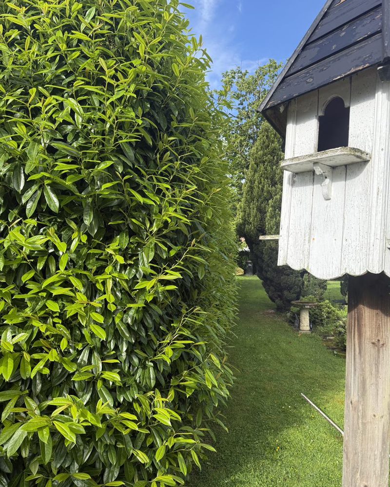 Large grounds maintenance, Yorkshire property