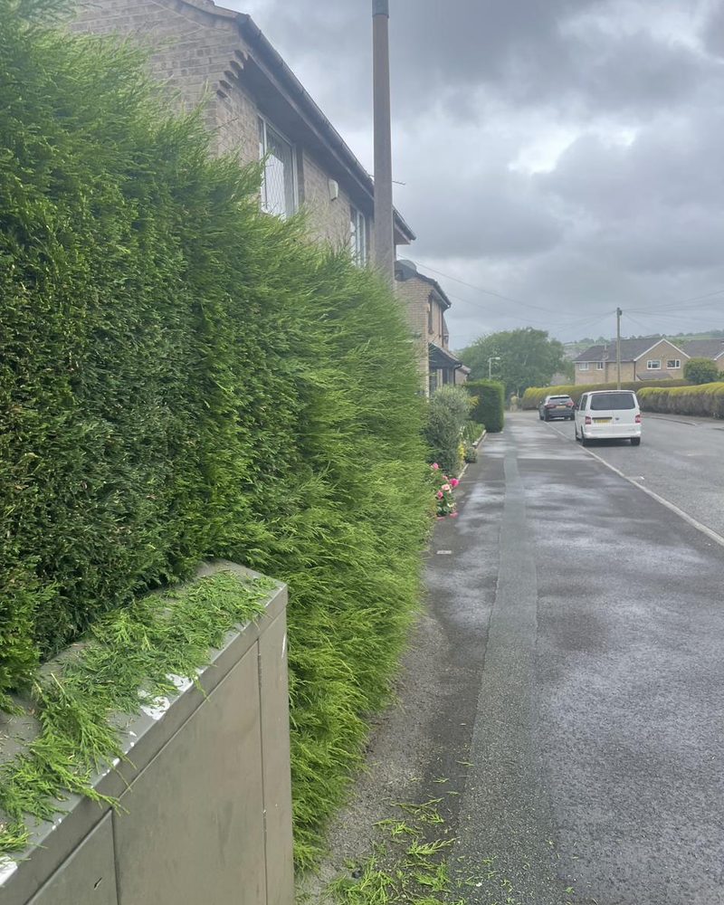 Large hedge cut clean at boundary