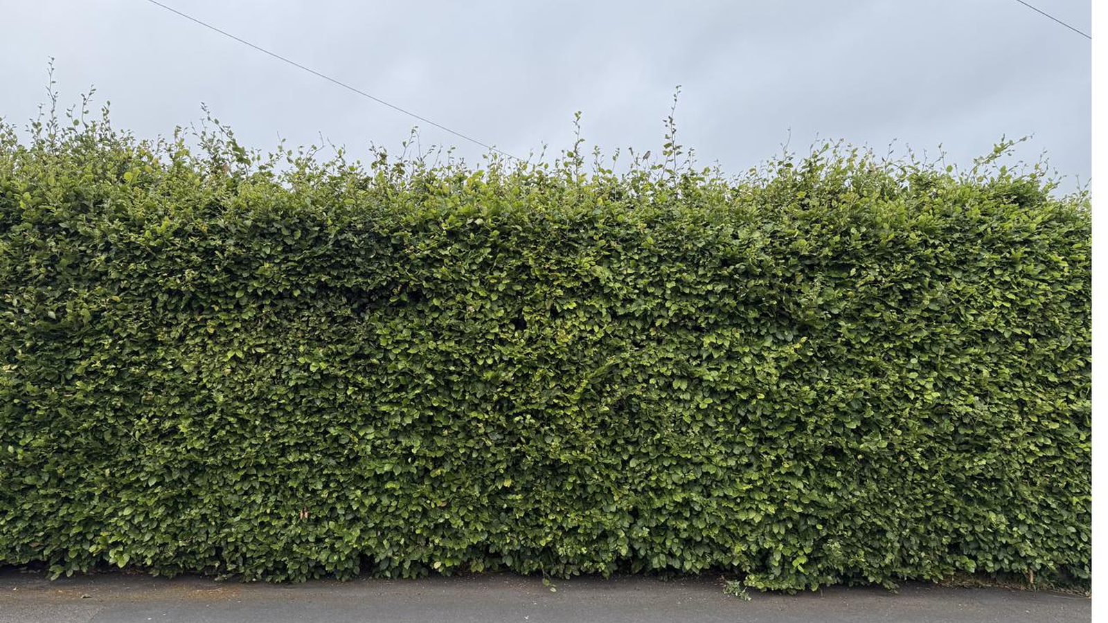 Grounds maintenance — commercial site Yorkshire, CPW Gardens