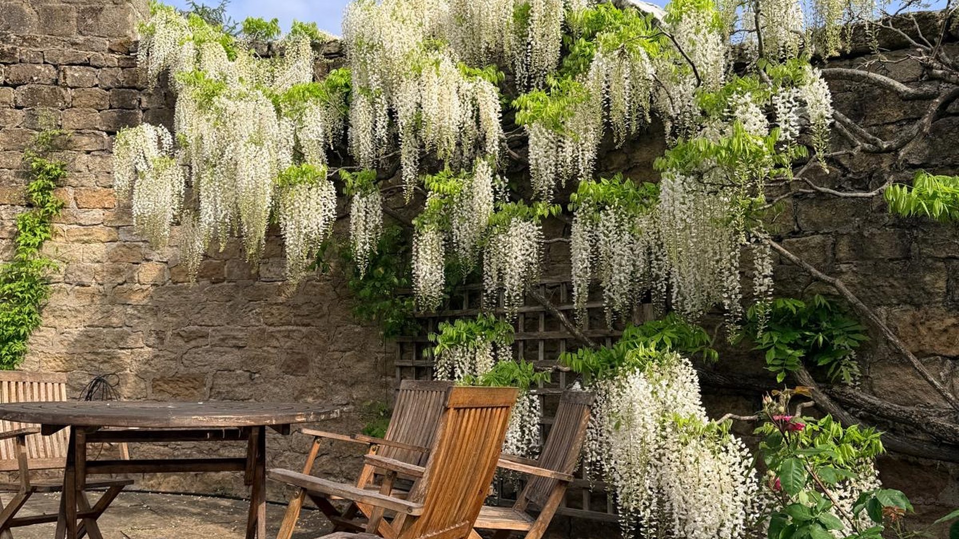 Yorkshire cottage garden maintained by CPW Gardens