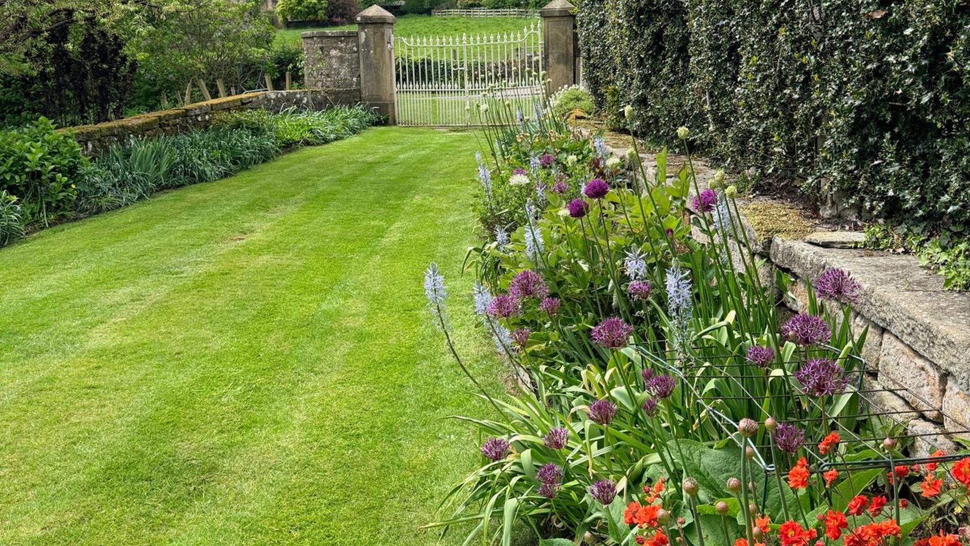 Beech hedge cut to a flat top on a Harrogate estate — lawn and lake beyond