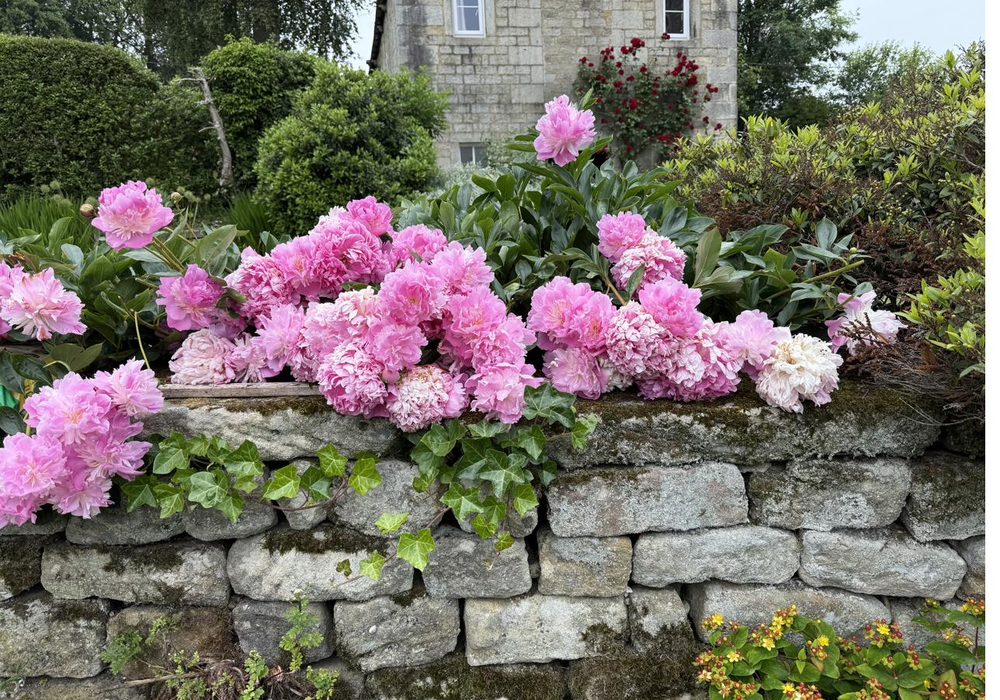 Border maintained with clean edges and fresh mulch