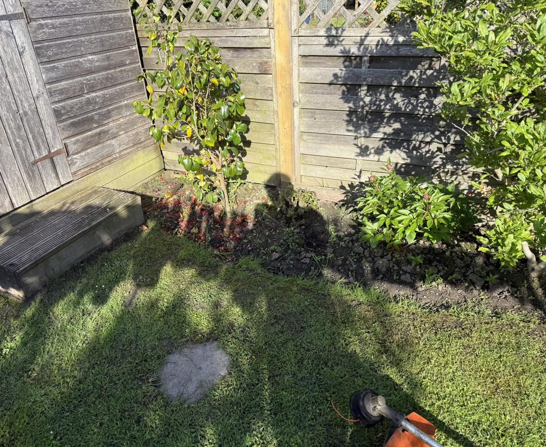 Tarmac driveway after power washing — clean and clear