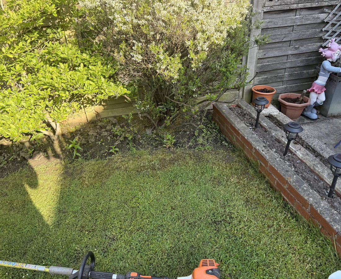 Tarmac driveway before power washing — heavy moss growth