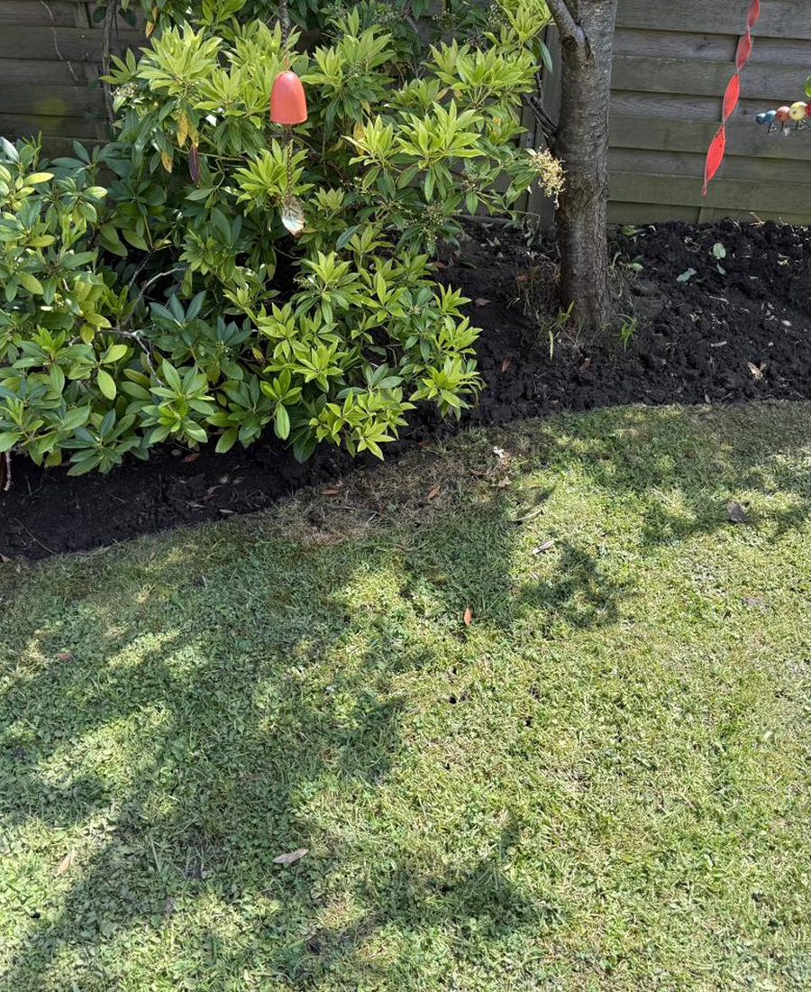 Front path before power washing