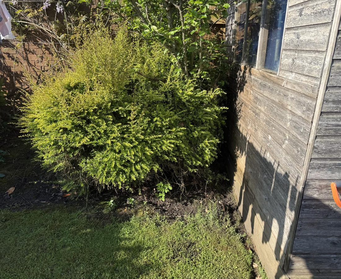 Patio before power washing