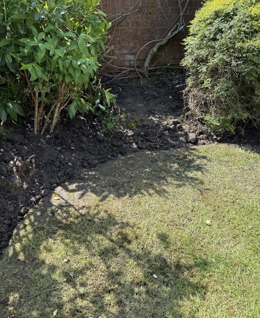 Stone steps before power washing — dirty and mossy